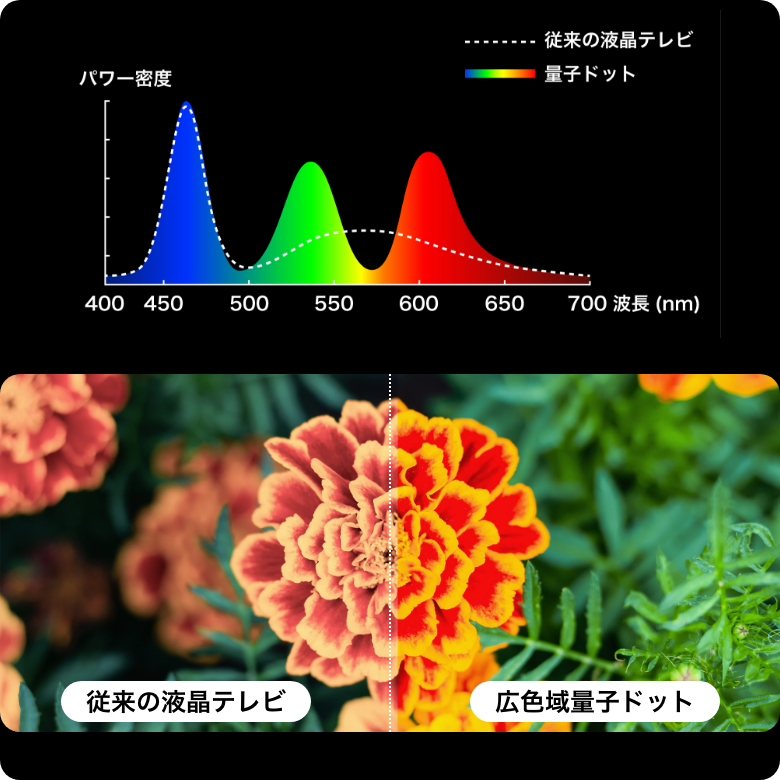 HI-VIEWエンジンII