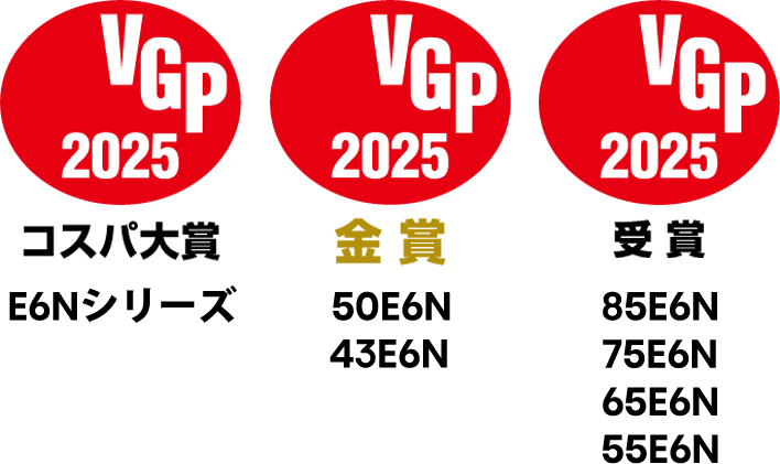 VGP受賞