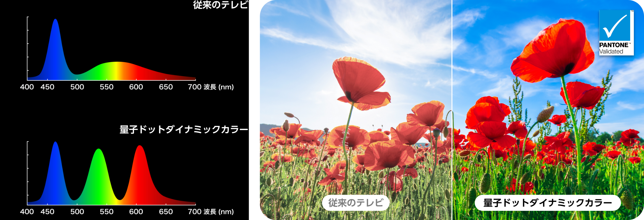 量子ドットダイナミックカラー