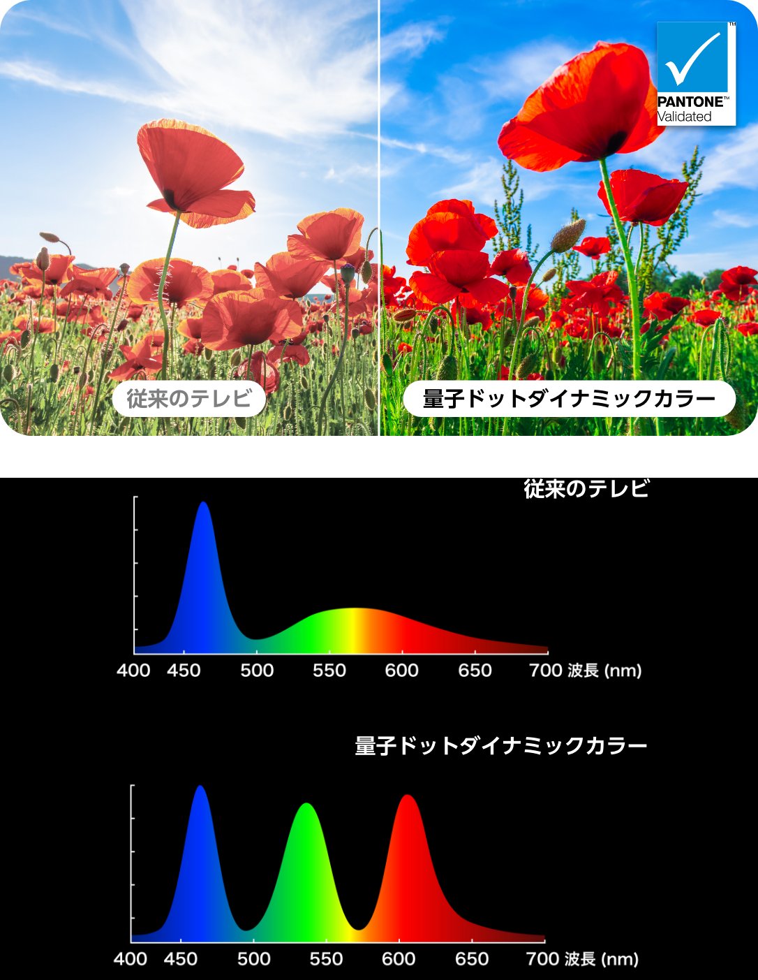 量子ドットダイナミックカラー